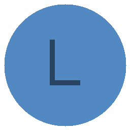 L1ga Team